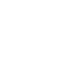 DR CESAR BEDIN