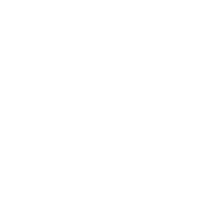 INEC LOGO