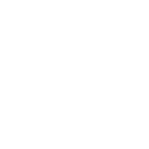 MEIAS WINSTON