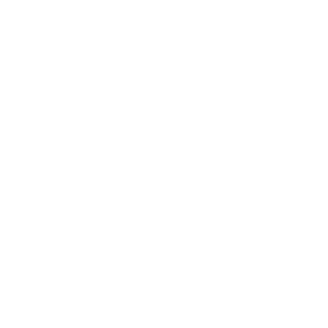 fachini logo