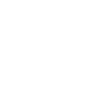 rosa felipe logo