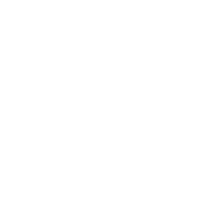 sole